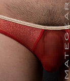 Sexy Mens Swimwear Extremely Sexy Mini Pouch Bikini (Xtra low Front )- Ree Man