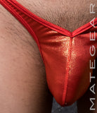 Sexy Mens Swimwear Extremely Sexy V-Front Ultra Bikini - Hu Chung