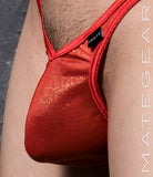 Sexy Mens Swimwear Extremely Sexy V-Front Ultra Bikini - Hu Chung